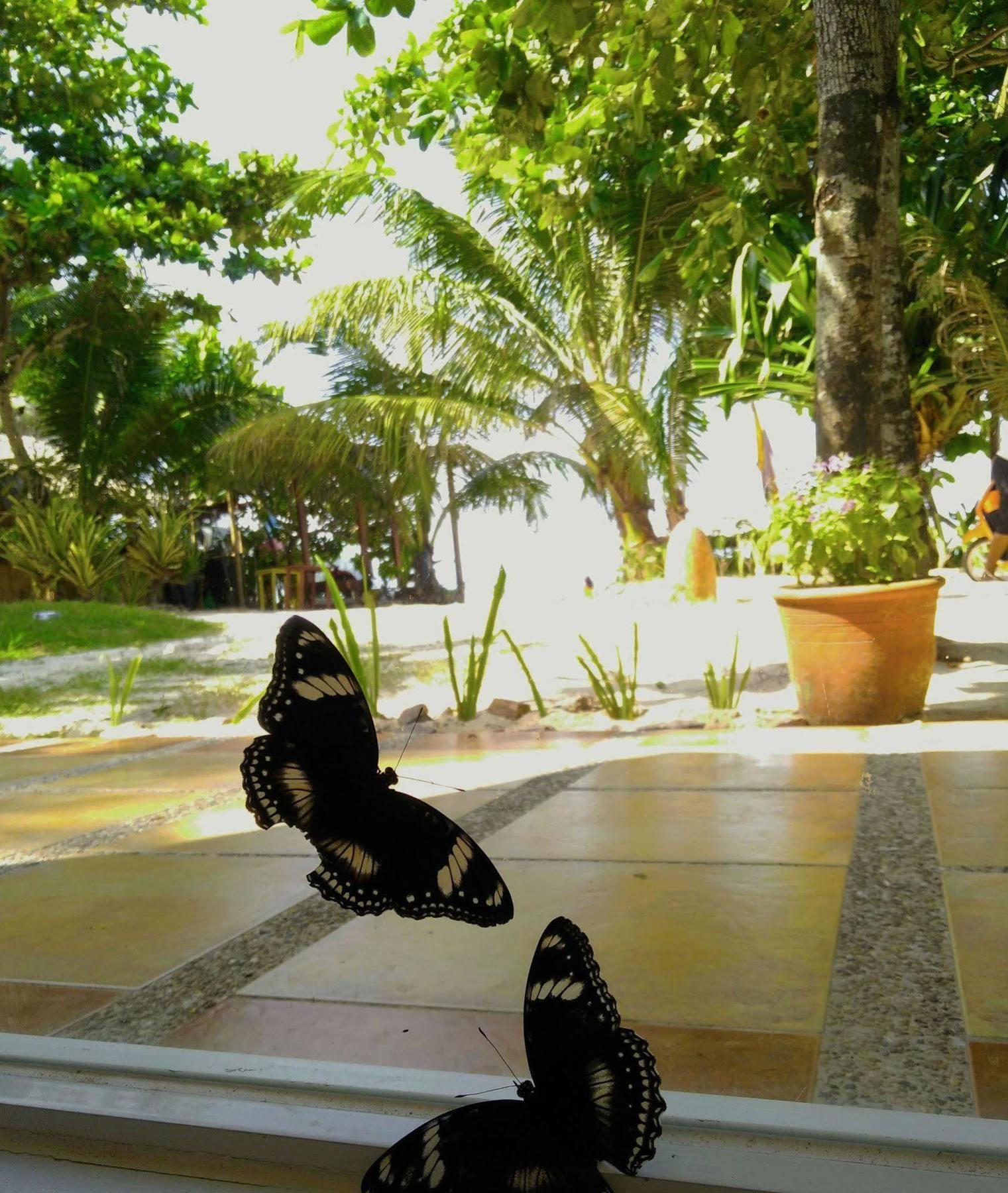 Aissatou Beach Resort Balabag  Luaran gambar